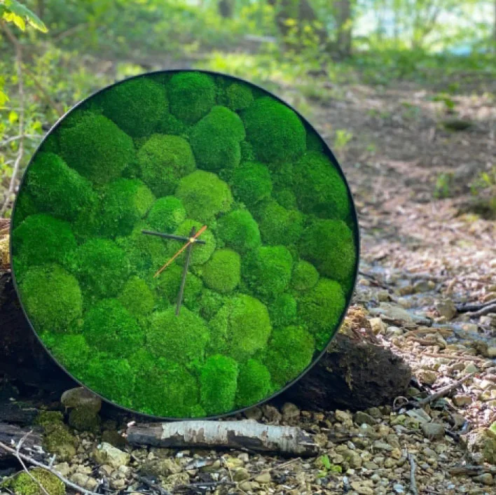 Rundes Moosbild mit Uhr im Holzrahmen